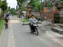 ubud (64)